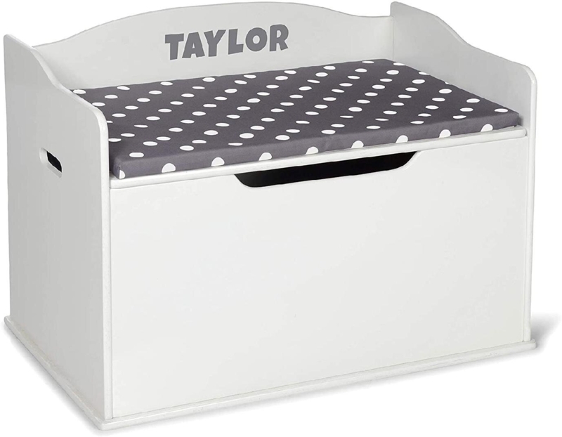 Storage Trunk with Lift Top and Tray