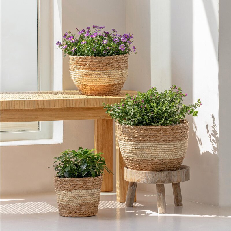 Boho Indoor Tree Planters