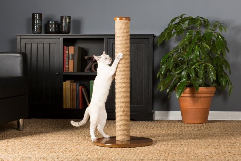 Borrego Scratching Post