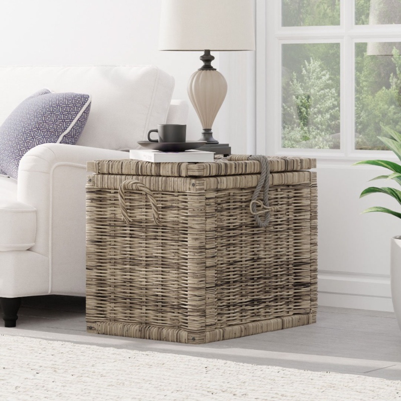 Brasfield Wicker Trunk with Storage