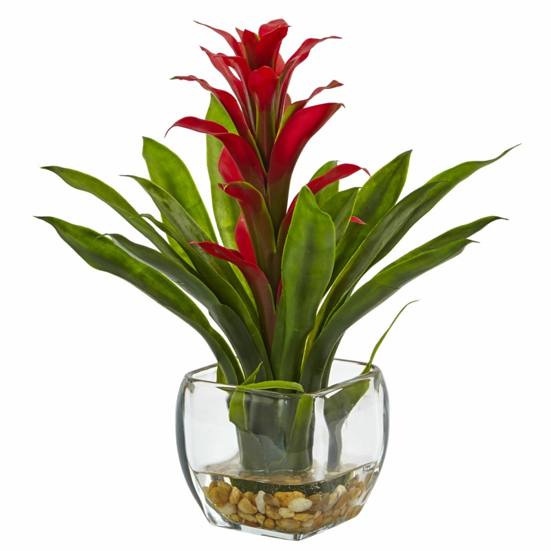 Bromeliad Floral Arrangement in Vase