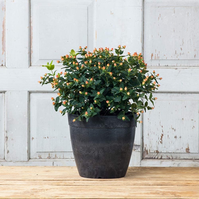 Burdette Self-Watering Stone Pot Planter