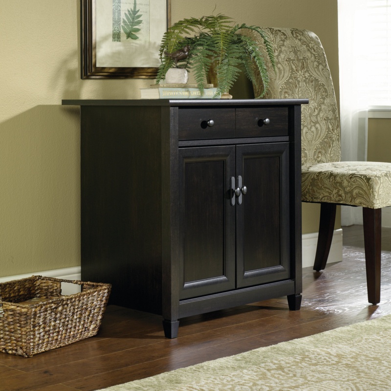 Cardarius 29'' Tall 2 - Door Accent Cabinet