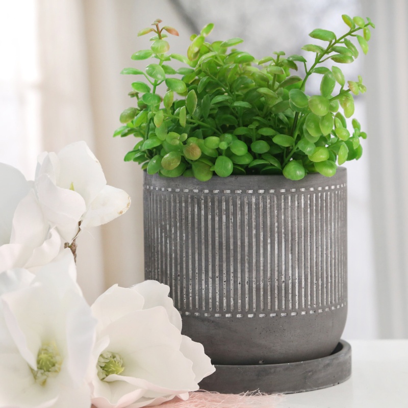 Charo Ceramic Pot Planter