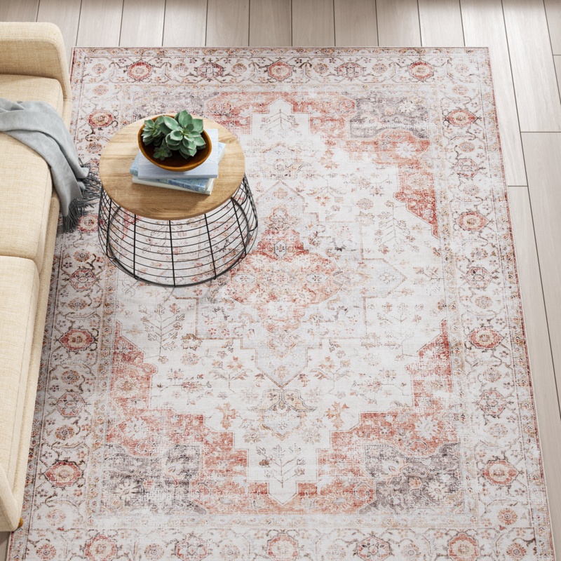 Chea Machine Woven / Power Loomed Performance Light Gray/Rust Machine Washable Rug