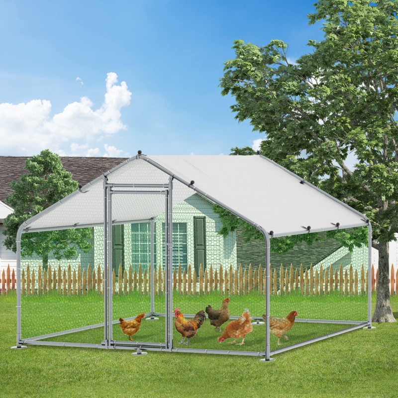 Cherrish Chicken Run