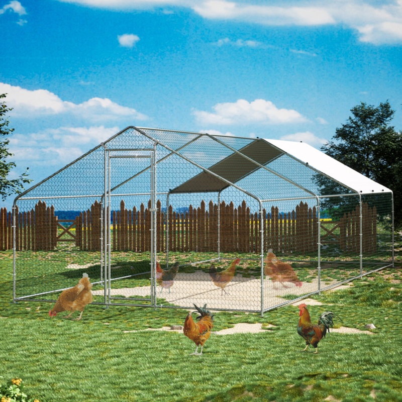 Chicken Coop