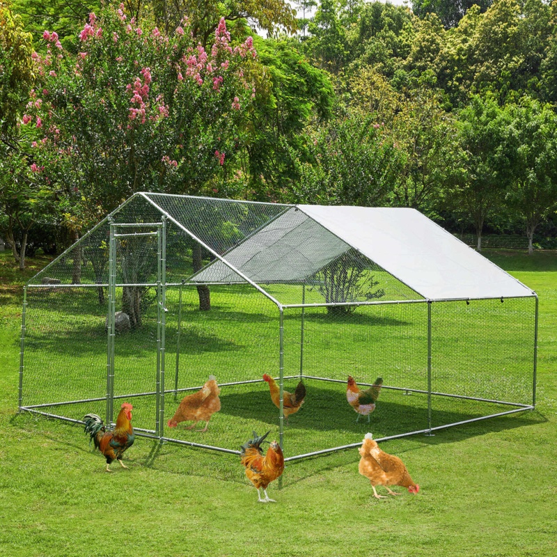 Chicken Coop