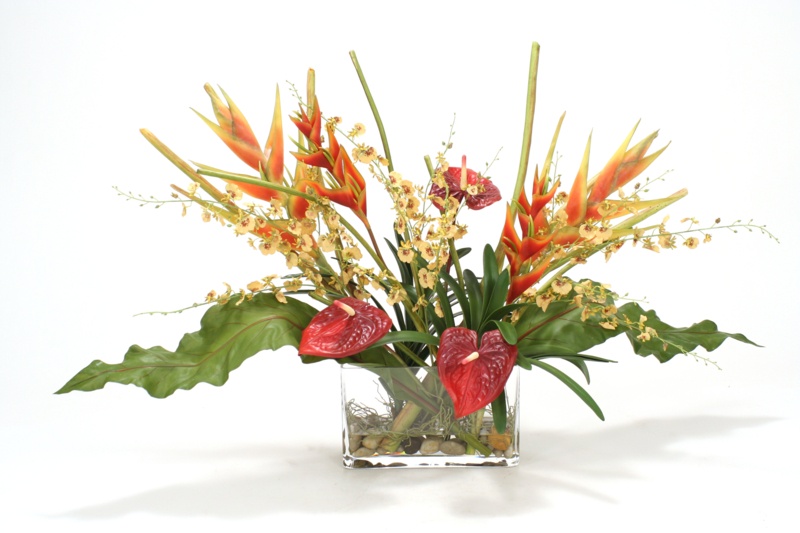 Clea Heliconia, Orchid Tropical Mix in Glass Cylinder