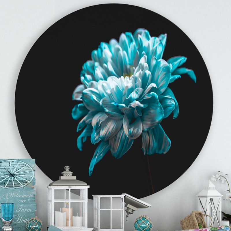 Close Up Of Pure Blue And White Daisy Flower II - Unframed Photograph on Metal
