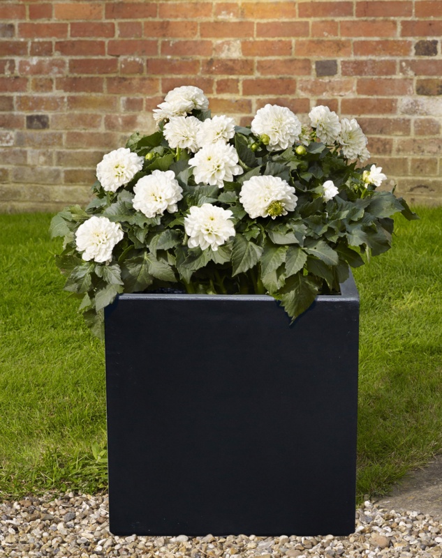 Concrete Pot Planter