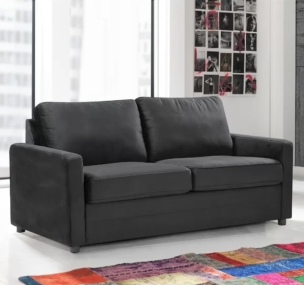 Couch With Pull Out Bed