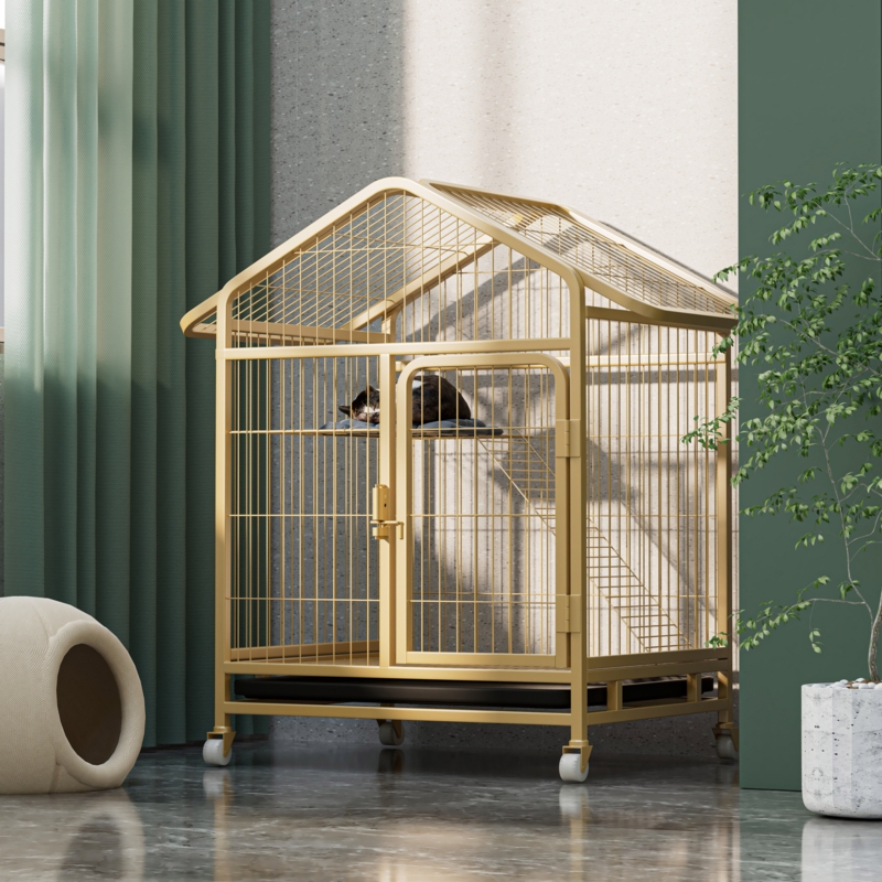 Golden Spacious Cattery with Premium Accessories