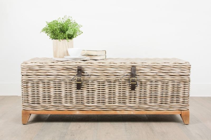 Coastal Trunk Coffee Table with Storage