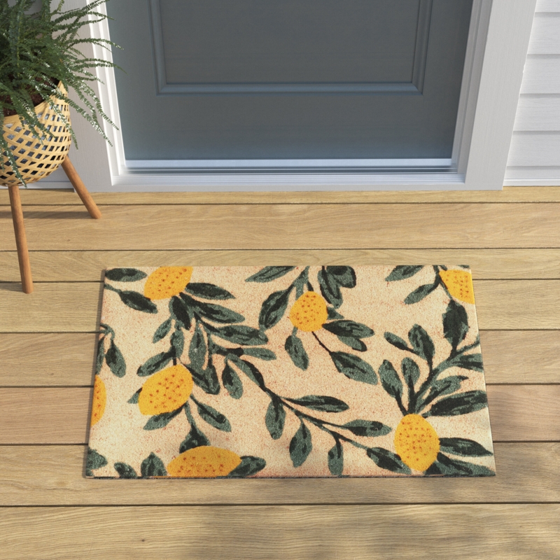 Best Door Mats