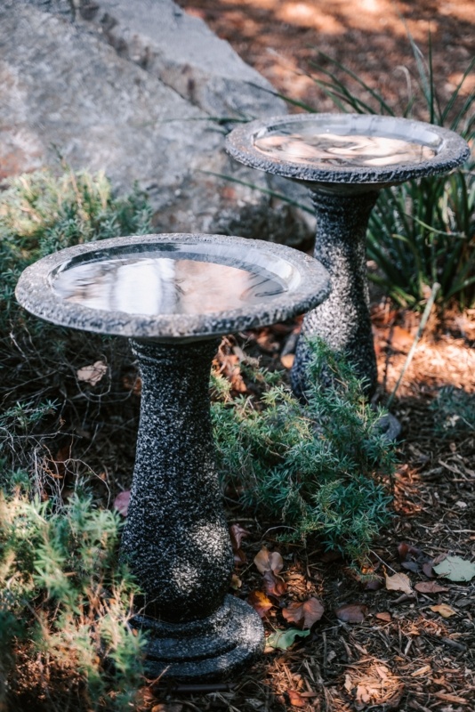Dezera Solar Birdbath