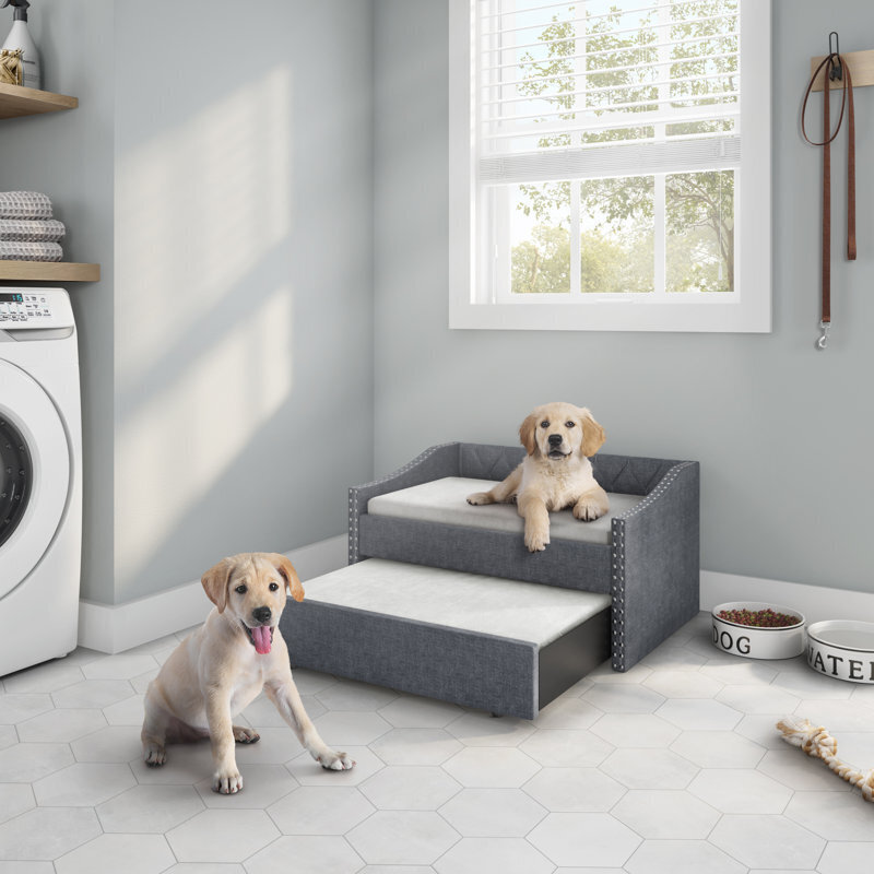 Pet Bed Furniture