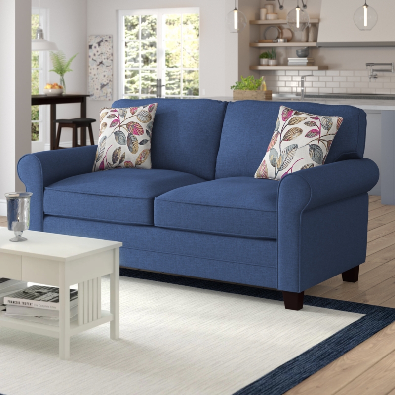 Traditional Sleeper Sofa with Queen Bed