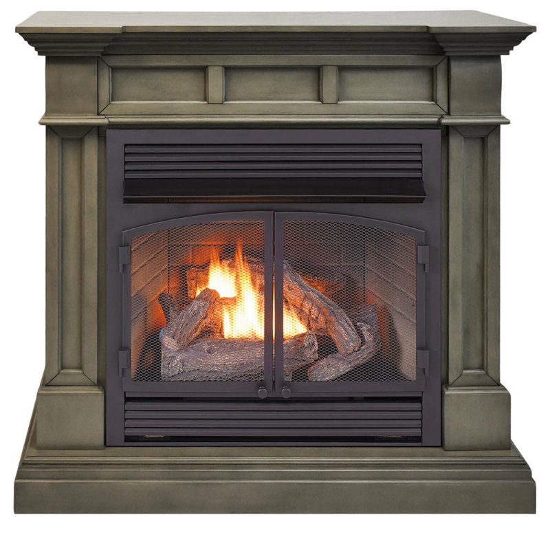 Dual Fuel Ventless Fireplace Insert