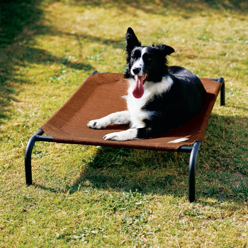 Elevated Indoor & Outdoor Pet Cot