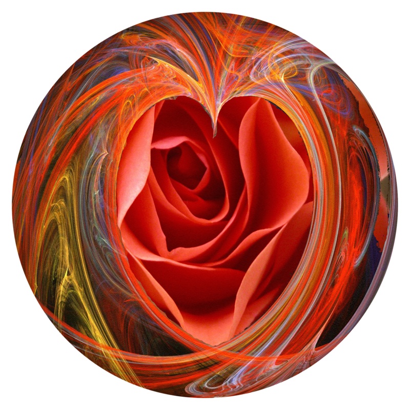 Elliptic Rose Wall Art