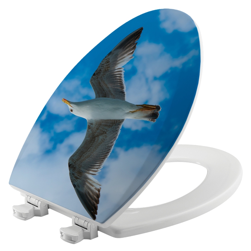 Composite Toilet Seat with Artistic Design