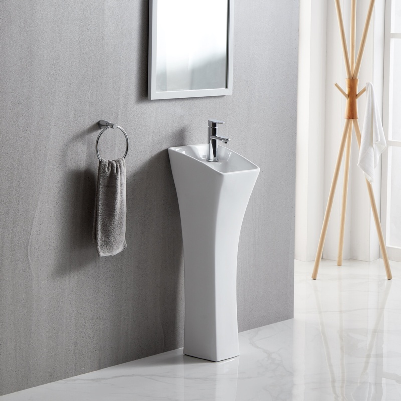 Eridanus White Vitreous China Specialty Pedestal Bathroom Sink with Overflow