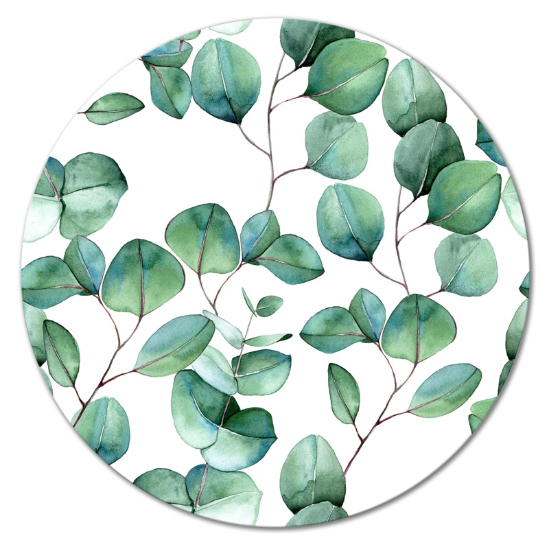 Eucalyptus Branch On White II - Unframed Print on Metal