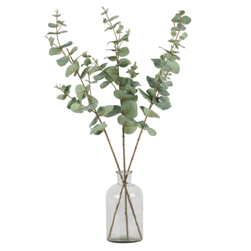 Eucalyptus Spray