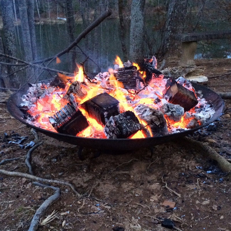 Evey 13'' H x 40'' W Cast Iron Wood Burning Outdoor Fire Pit