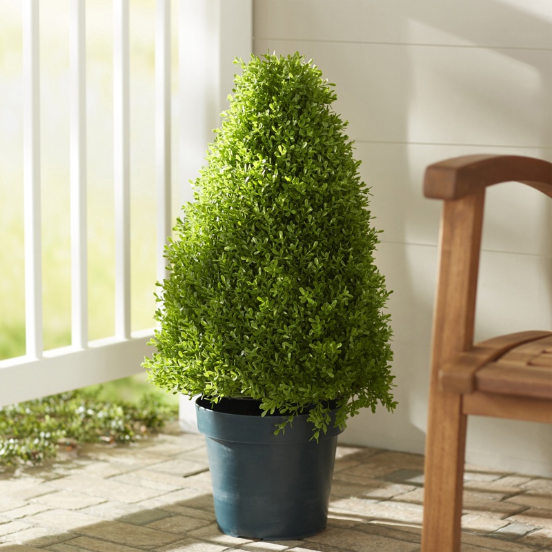 Eyre Faux Boxwood Topiary in Pot