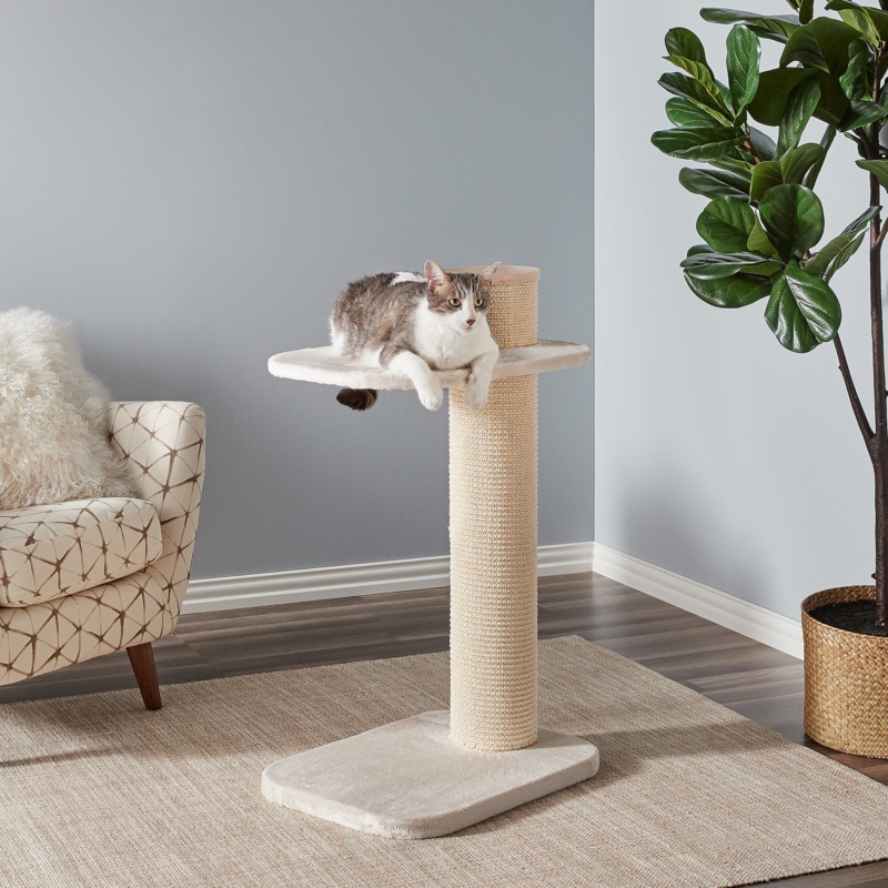Farrel 38" Farrell Cat Tree