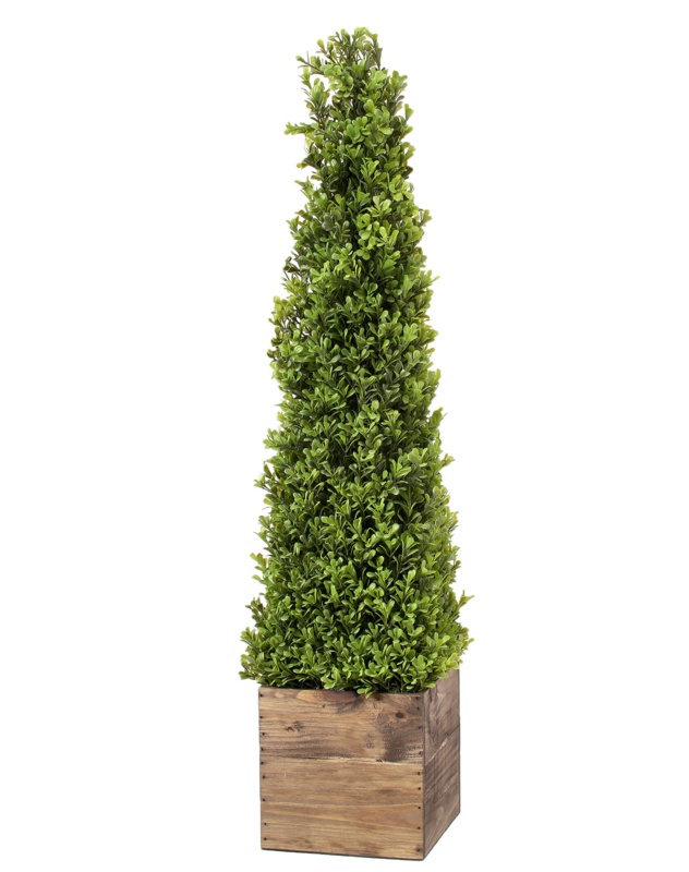 Faux Boxwood Topiary in Wood Planter