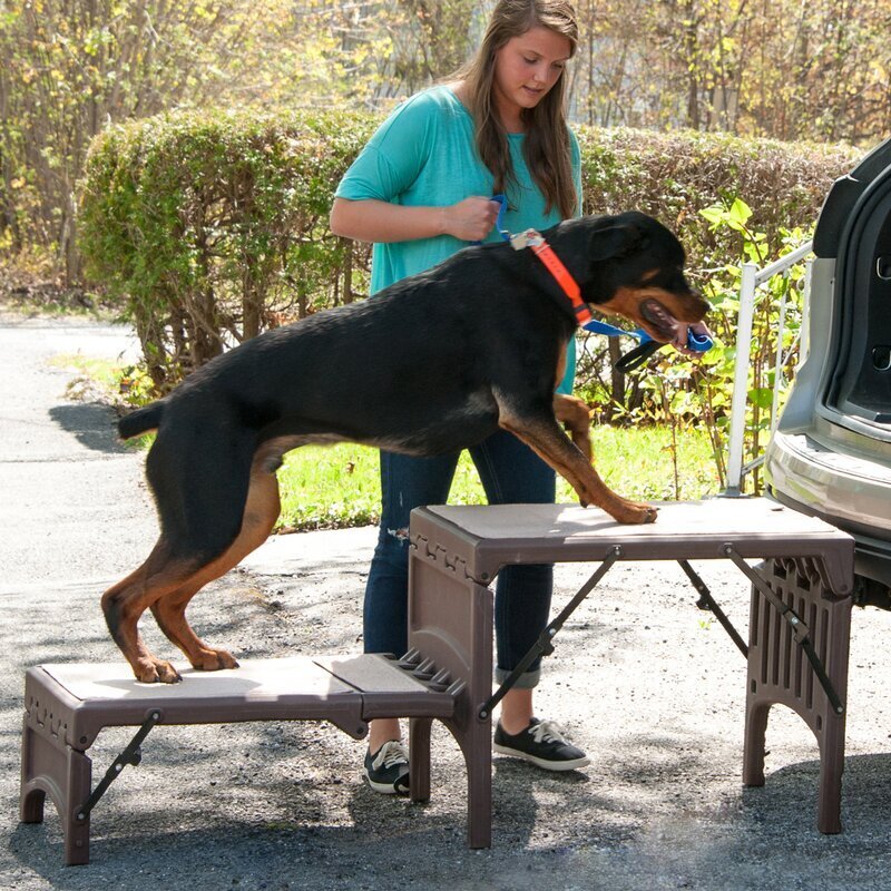 Foldable Steps For Large Dog 