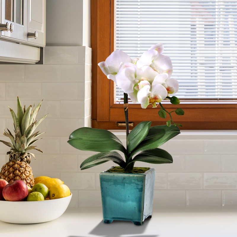 Footed Phaleanopsis Orchids Floral Arrangement in Pot