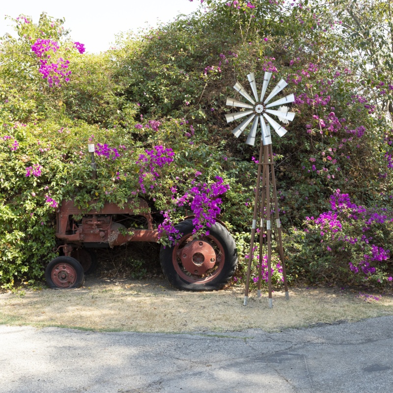 Hubertine Garden Windmill