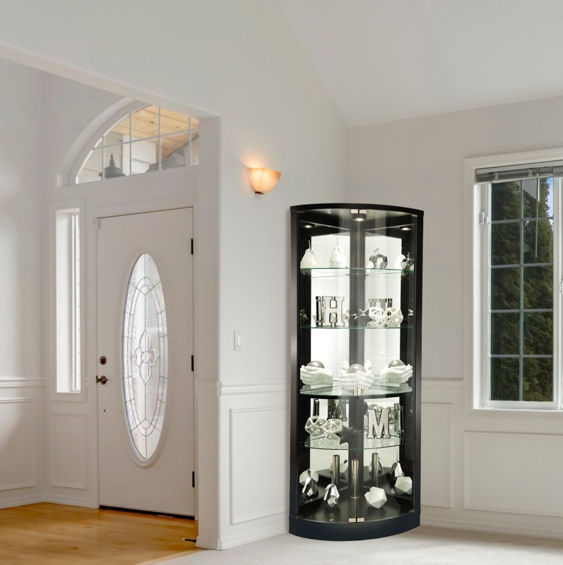 Jelisa 31'' Wide Mirrored Back Curio Cabinet with Lighting
