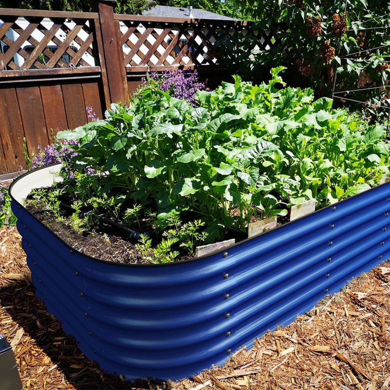 Galvanized Vegetable Planter Box