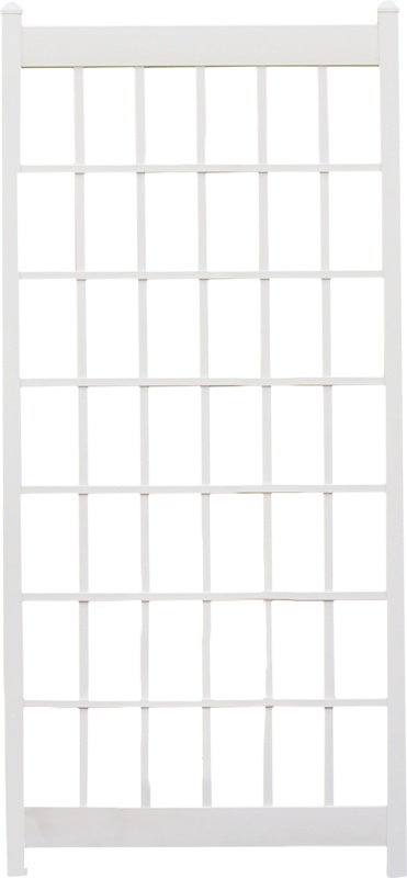 Kenesha 85'' H x 38'' W Vinyl Lattice Panel Trellis