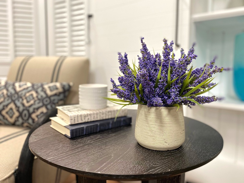 Lavender in Pot