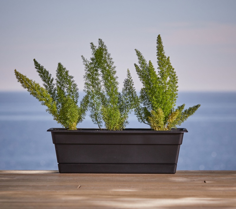 Leadore Polypropylene Window Box Planter