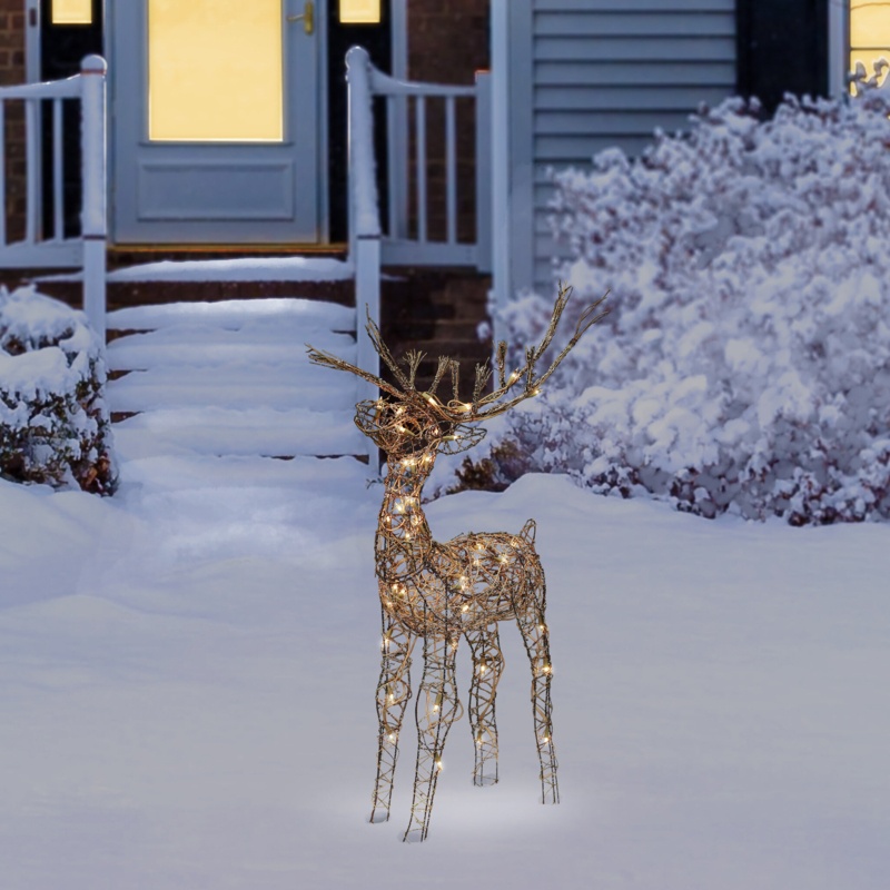 Lighted Display