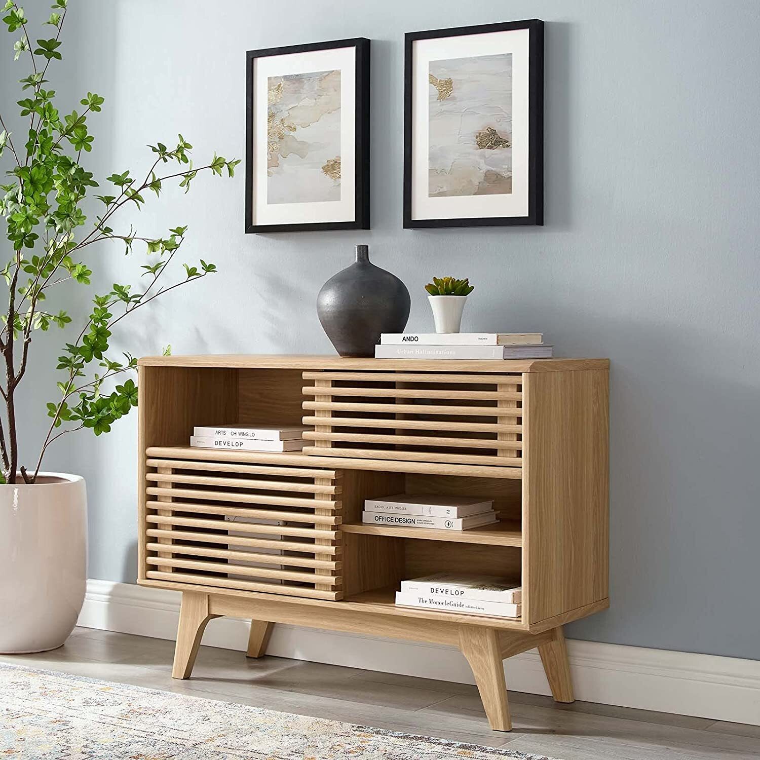 Low and Small Bookcase With Doors