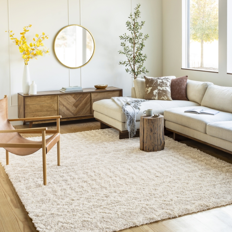 Cream/Beige Luxurious Area Rug