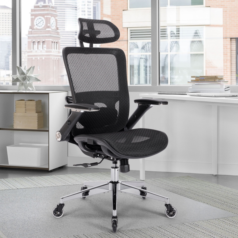 Ergonomic Task Chair with Lumbar Support