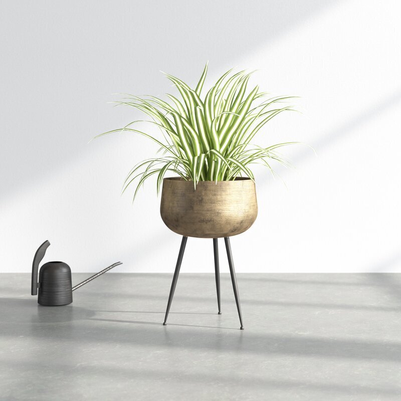 Metal Tall Plant Pots Indoor