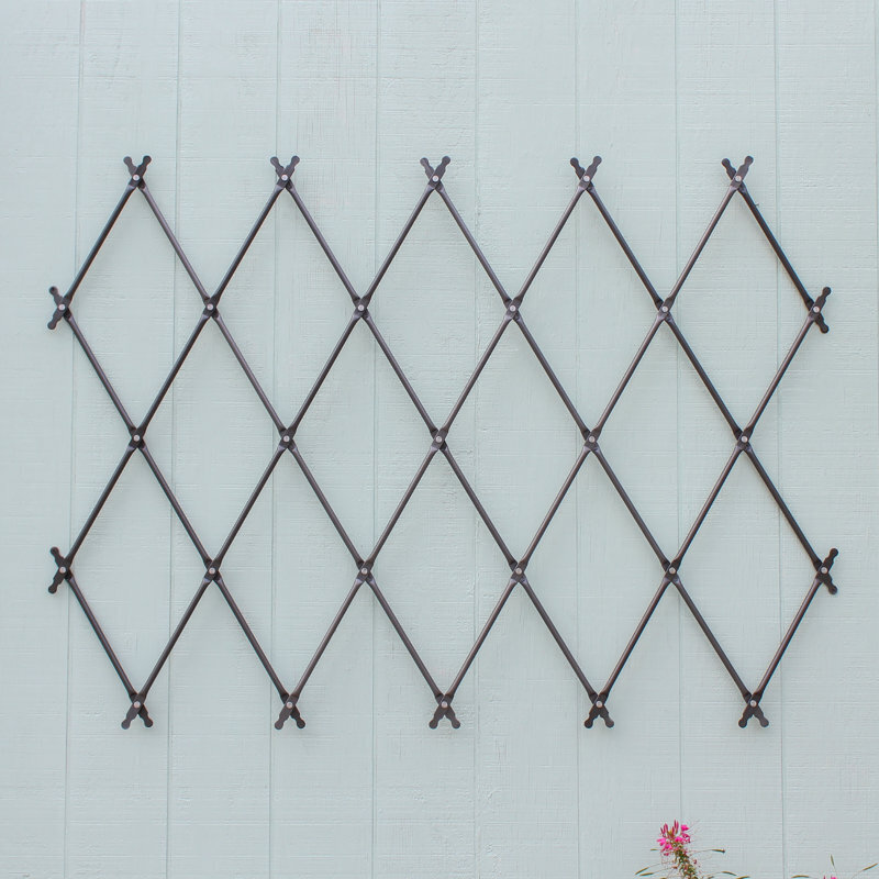 Metal Wall Trellis