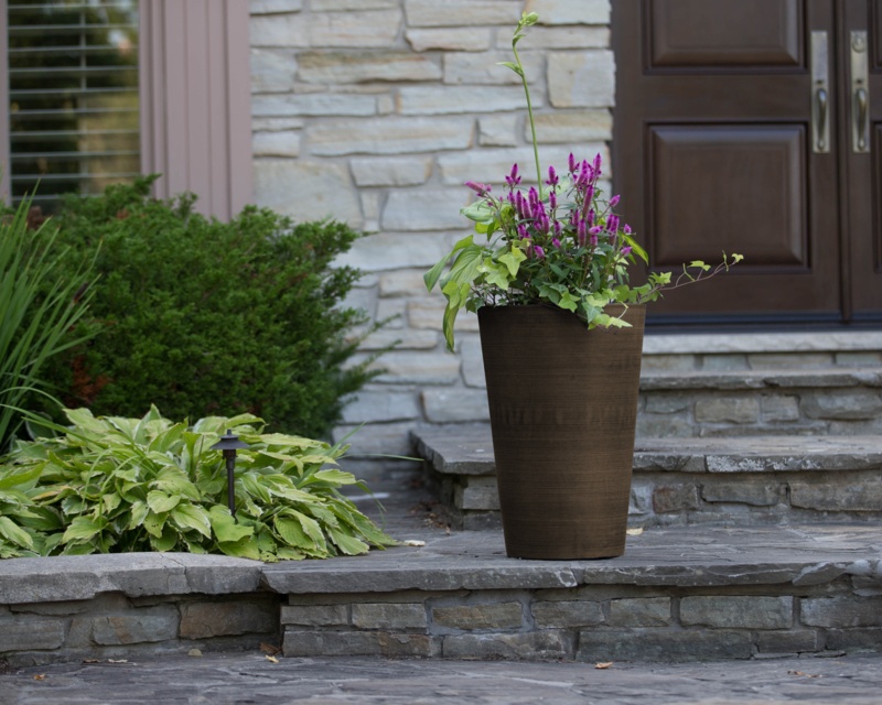 Miley Pot Planter