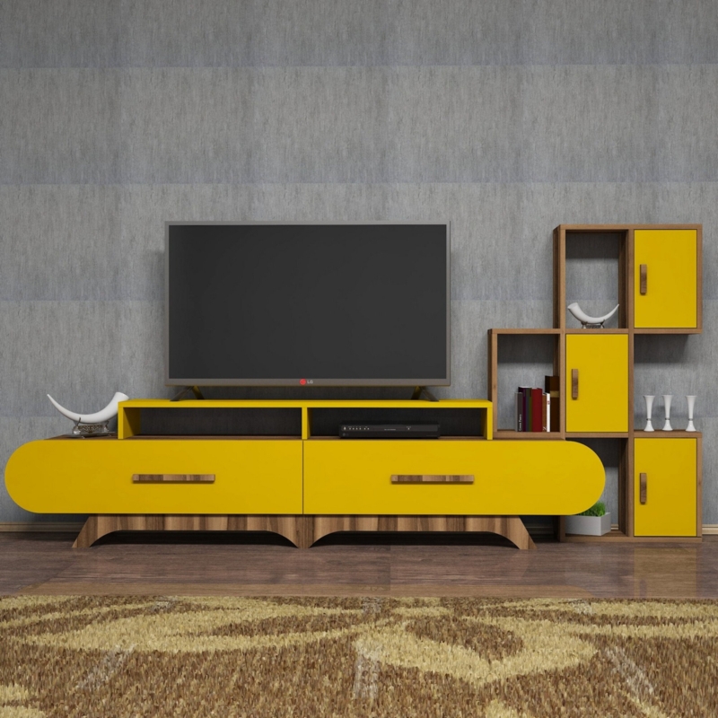 Timeless Design TV Unit