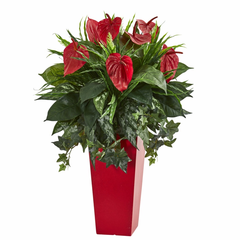 Mixed Anthurium Floral Arrangements in Planter